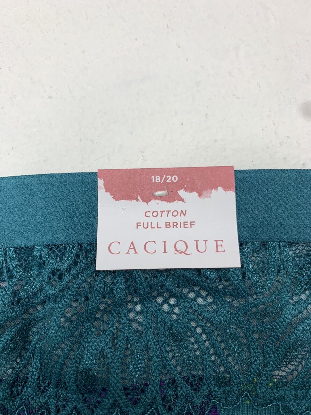 Cacique Womens Teal Blue Floral Print Briefs Size 18/20 - beyond